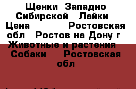 Щенки  Западно Сибирской   Лайки › Цена ­ 3 300 - Ростовская обл., Ростов-на-Дону г. Животные и растения » Собаки   . Ростовская обл.